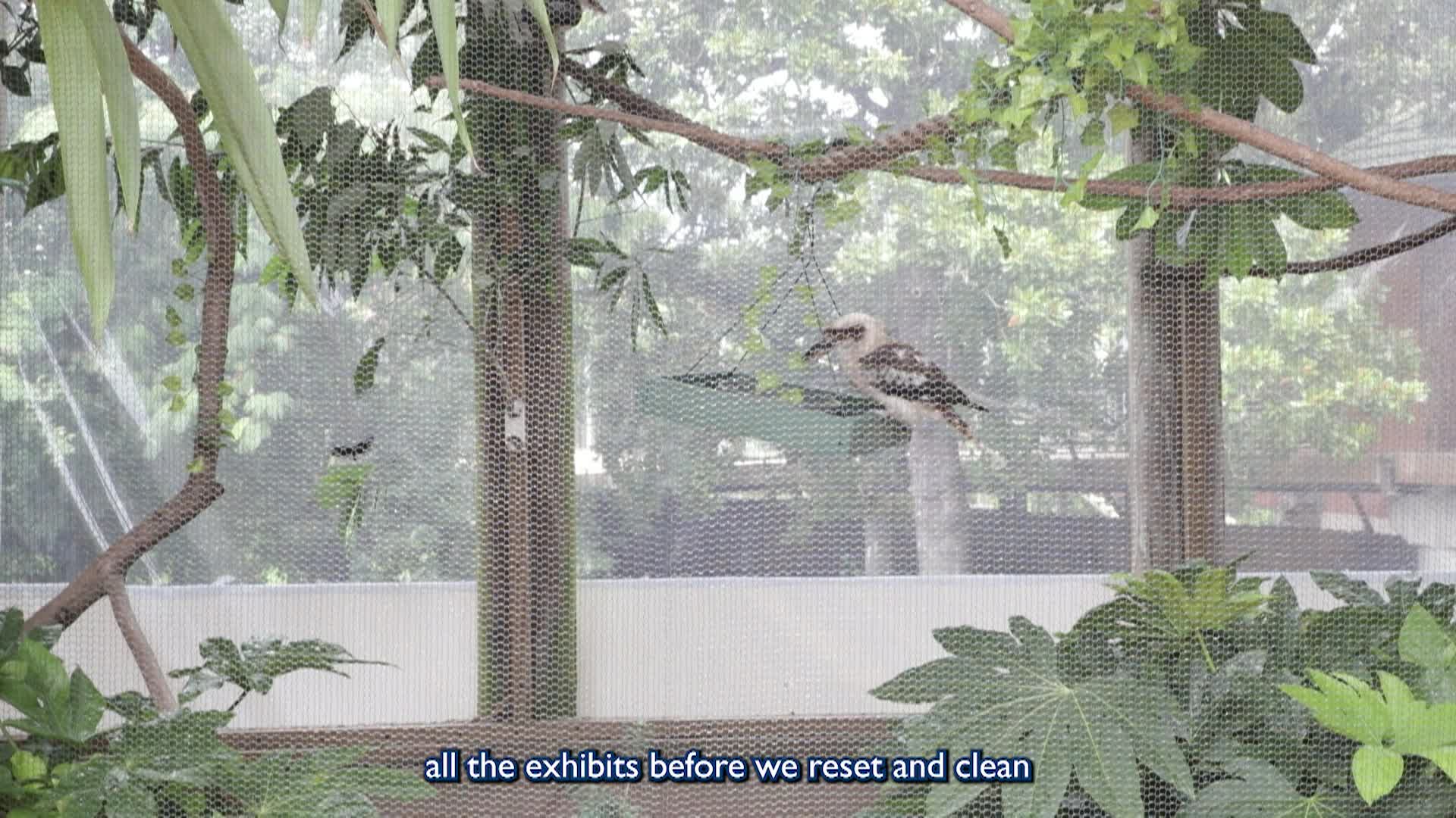 Meet a Virginia Zoo Bird Keeper