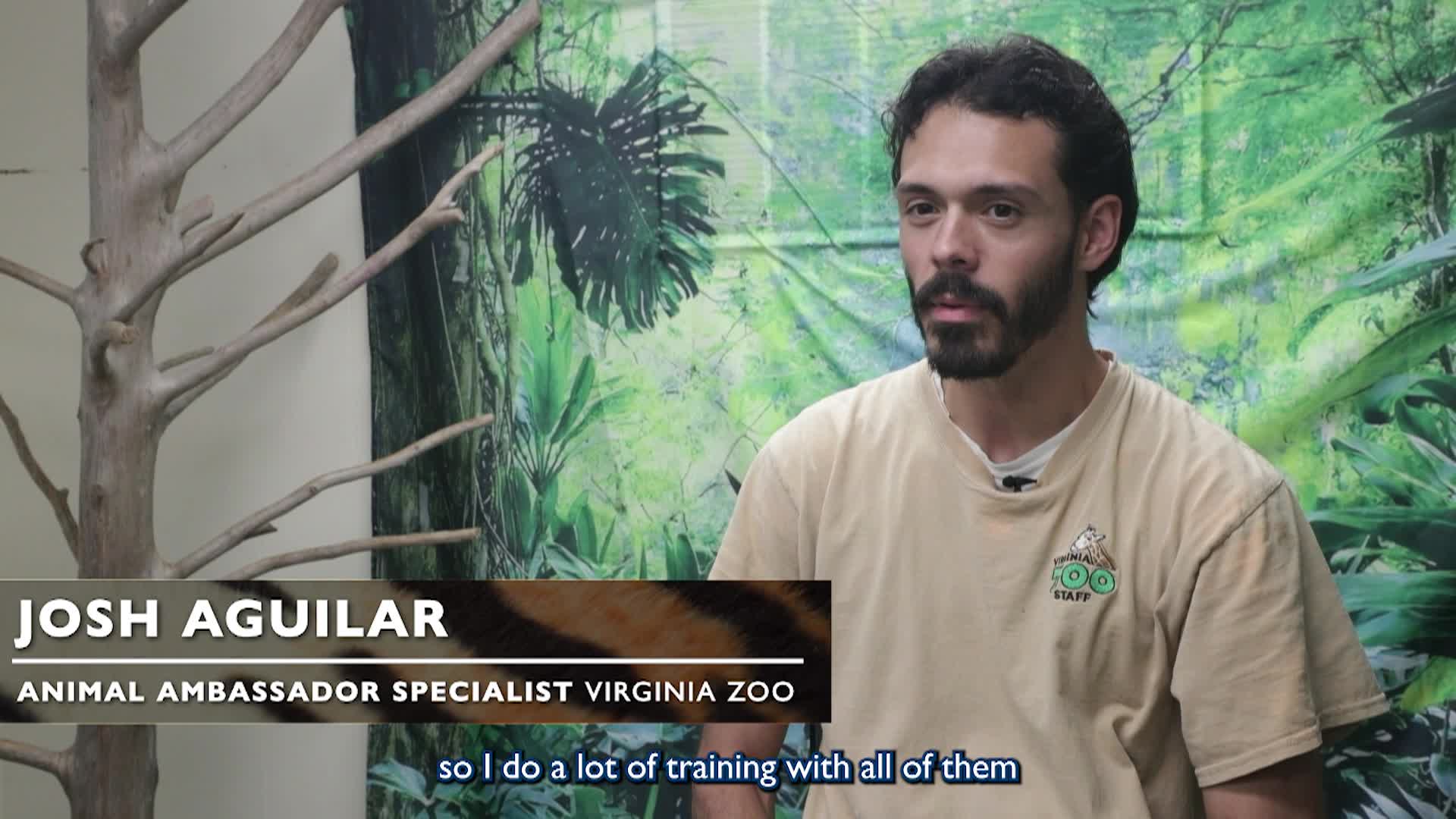 Meet a Virginia Zoo Animal Ambassador Specialist